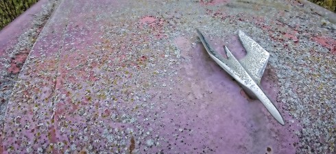 Pink Packard Hood