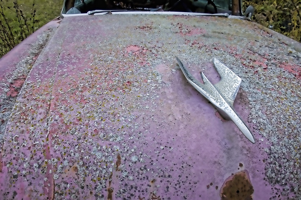 Pink Packard Hood