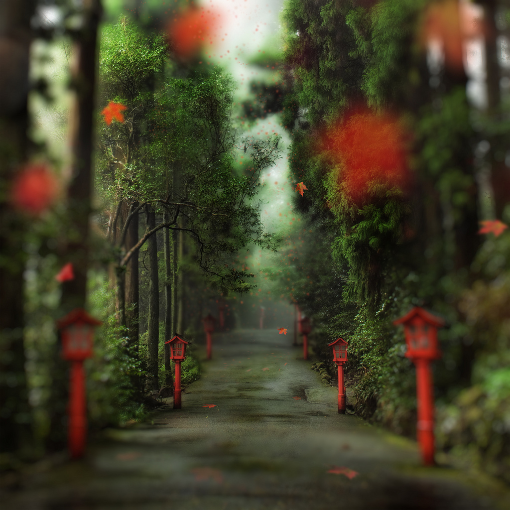 gentle path