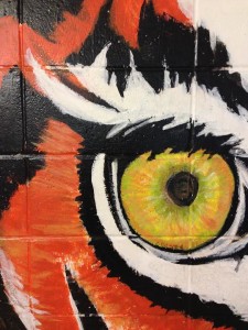 tiger eye